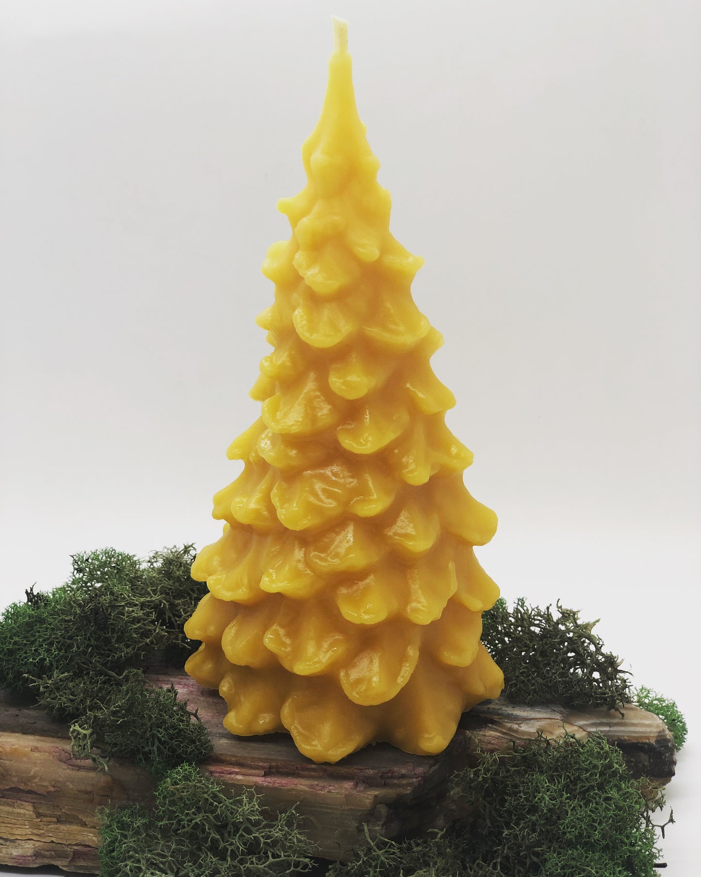 Evergreen Tree Candle