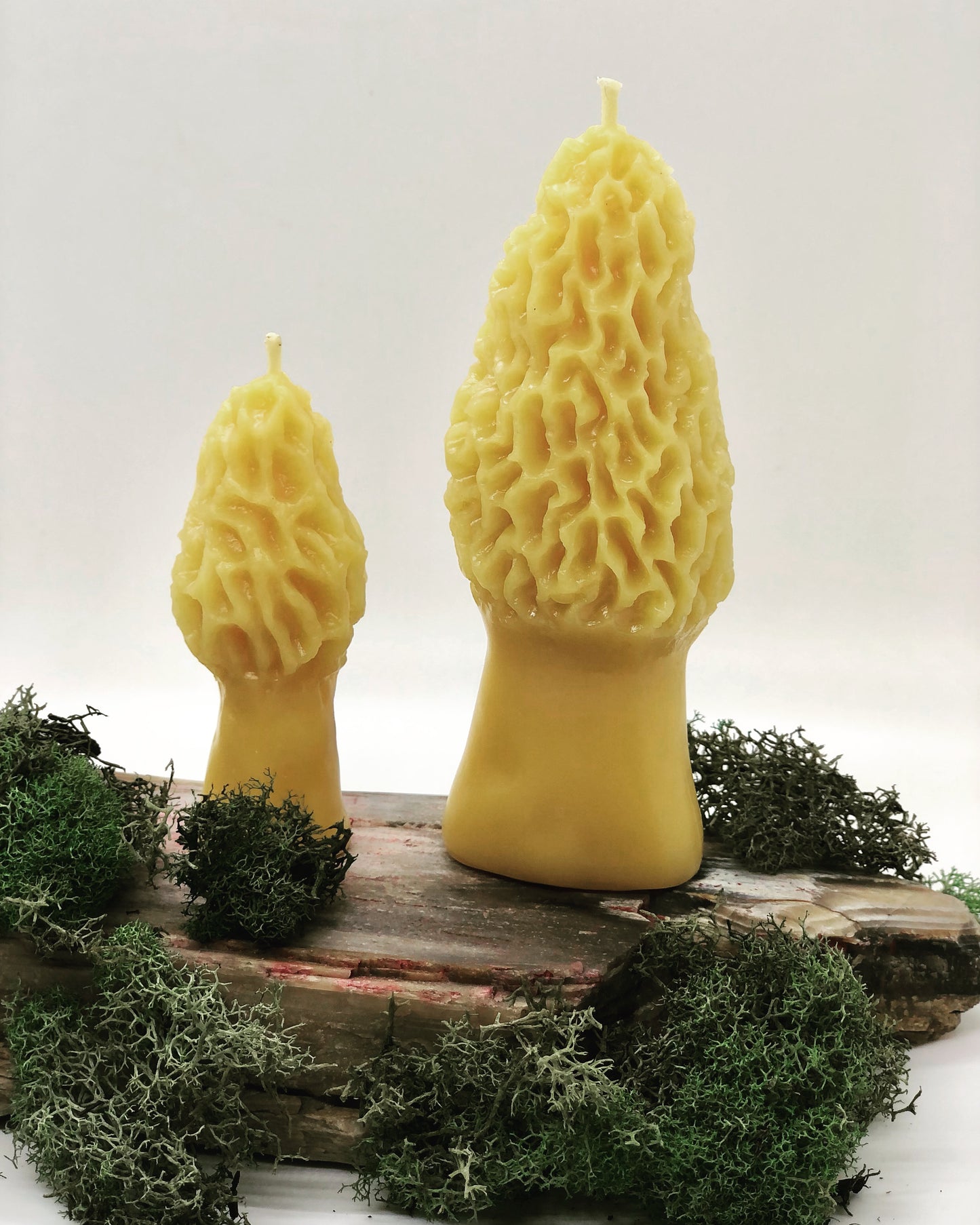 Small Morel Candle