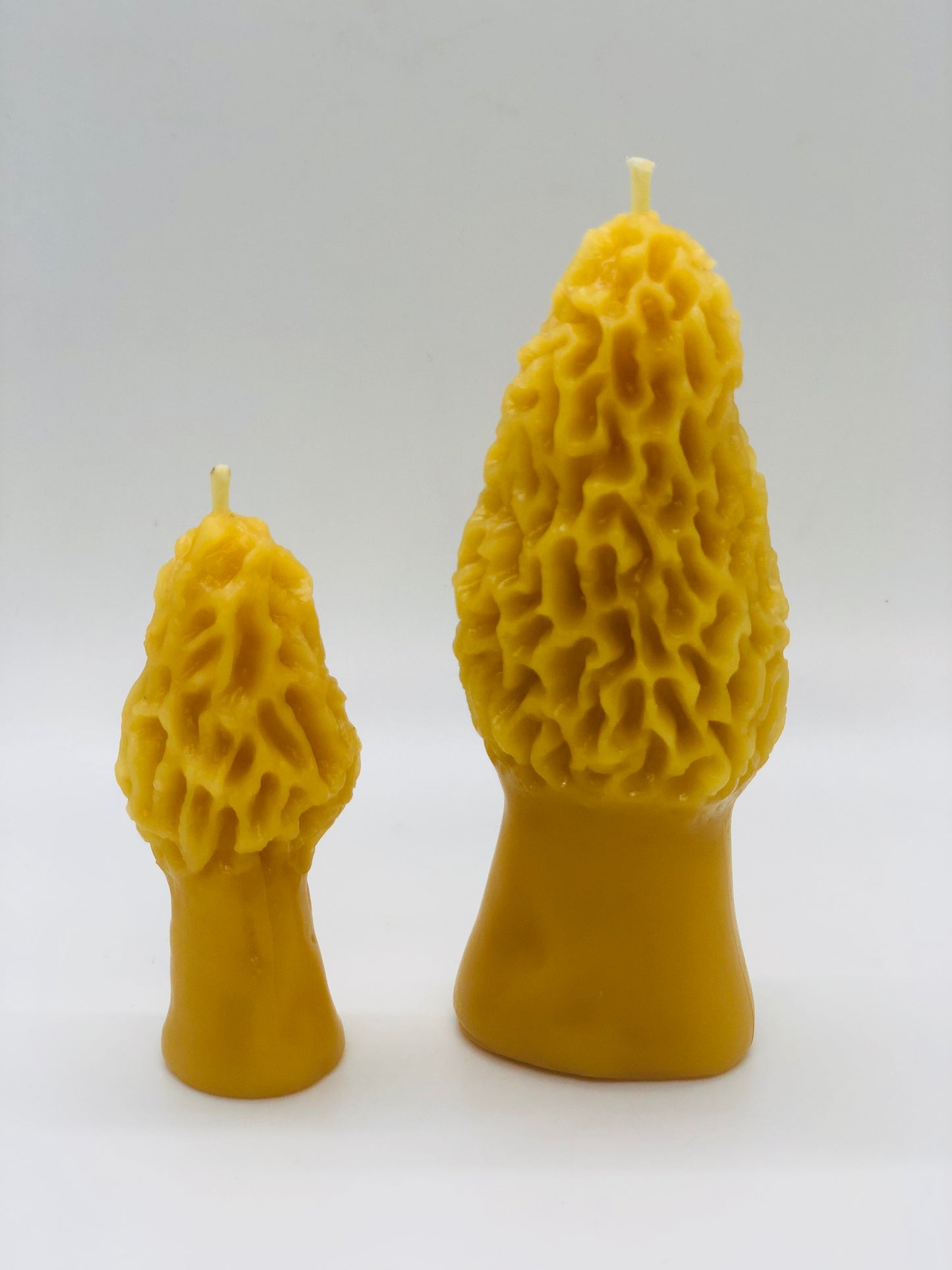 Small Morel Candle