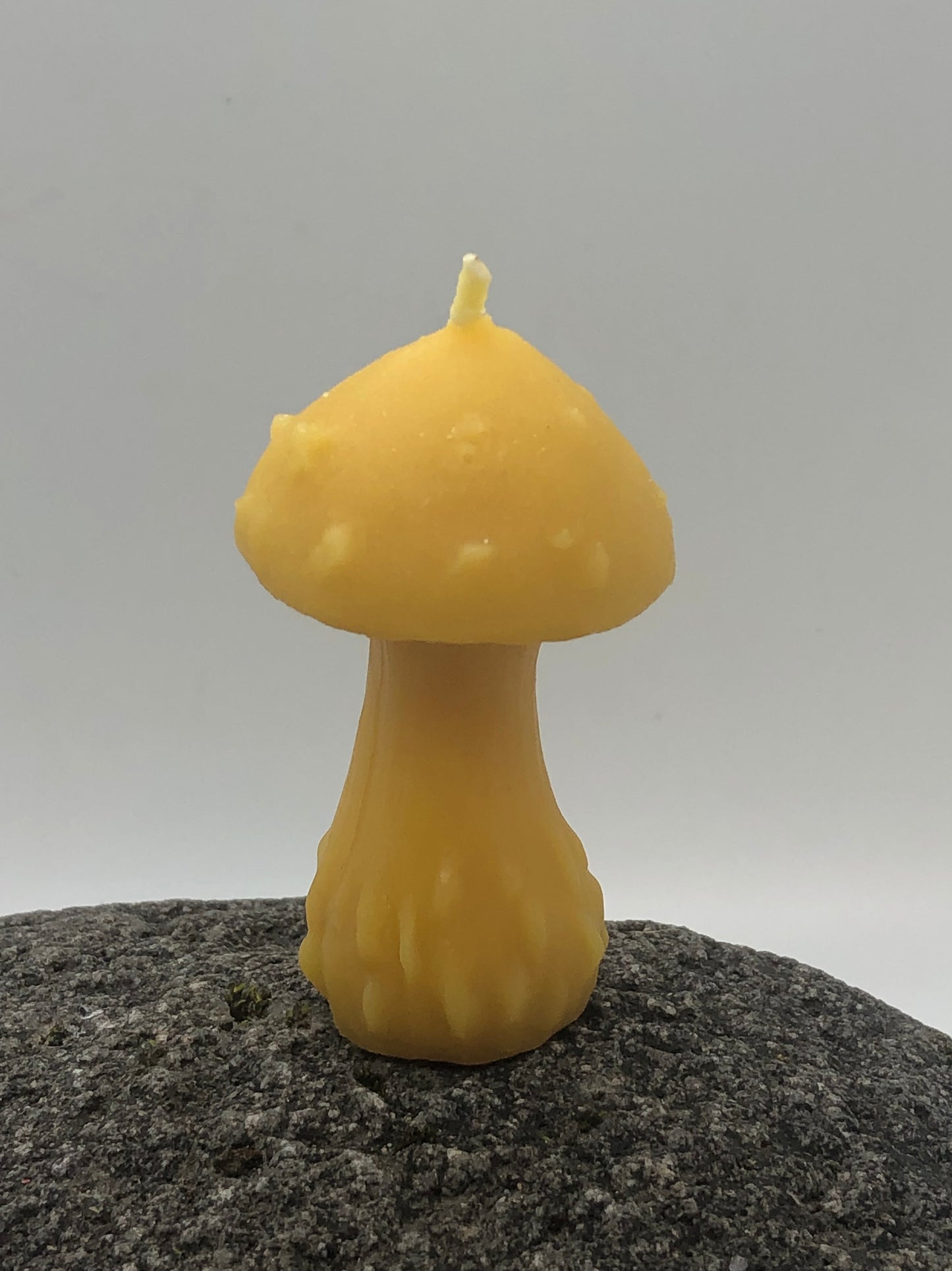 Round Mushroom Candle