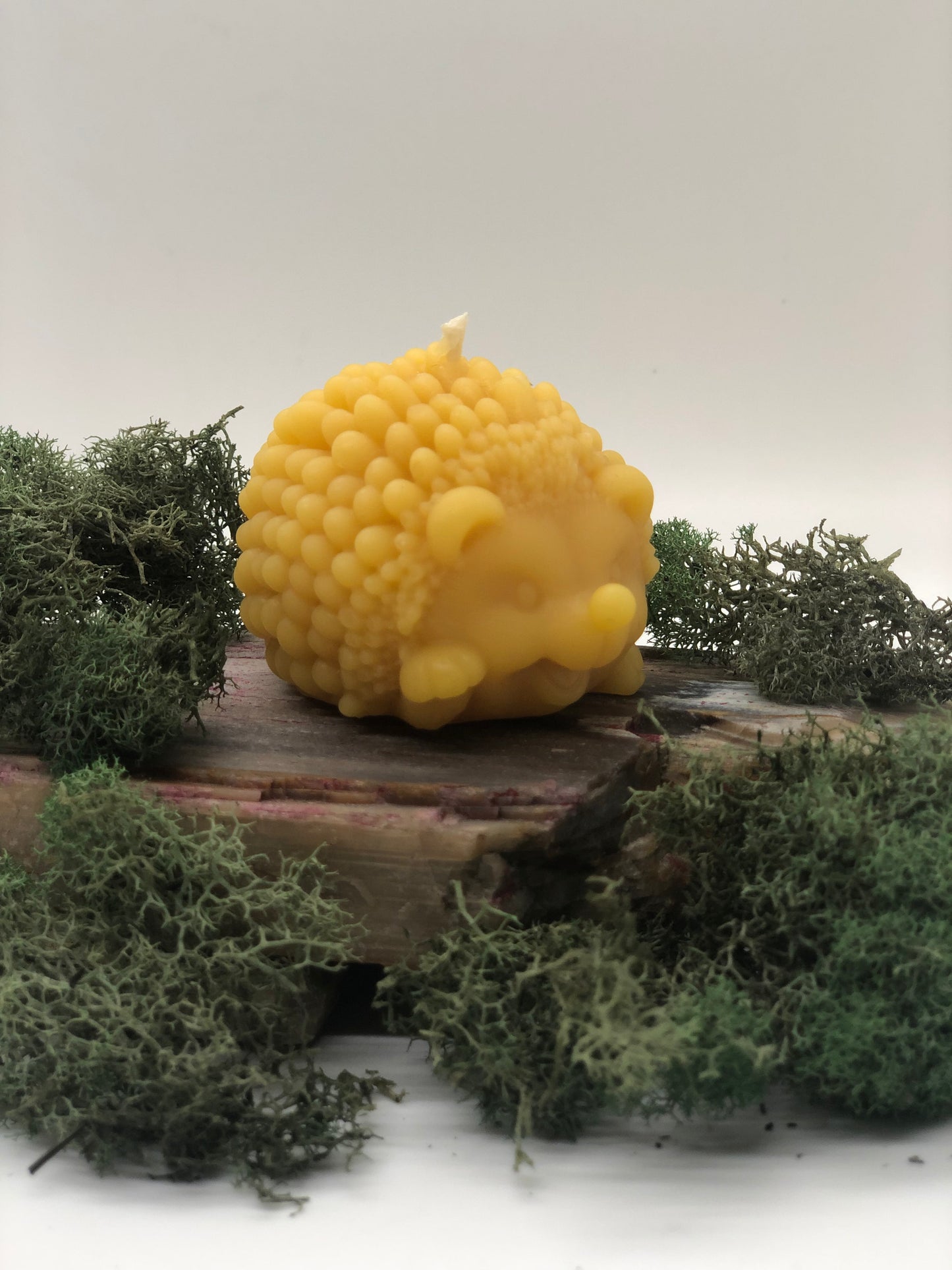 Hedgehog Candle